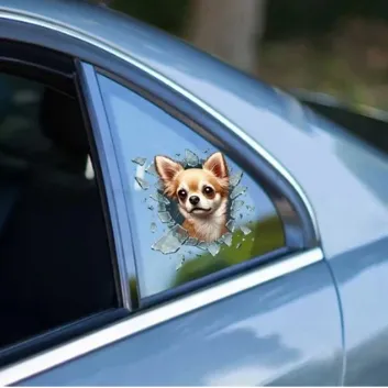 Exporanto Chiuahua Araç Stickerı görsel 1