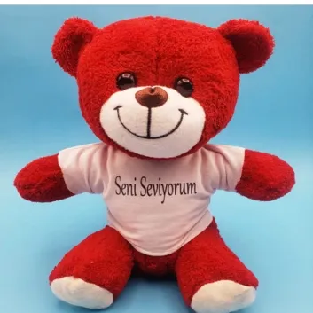 Exporanto Kırmızı Ayıcık Seni Seviyorum Tişörtlü görsel 1