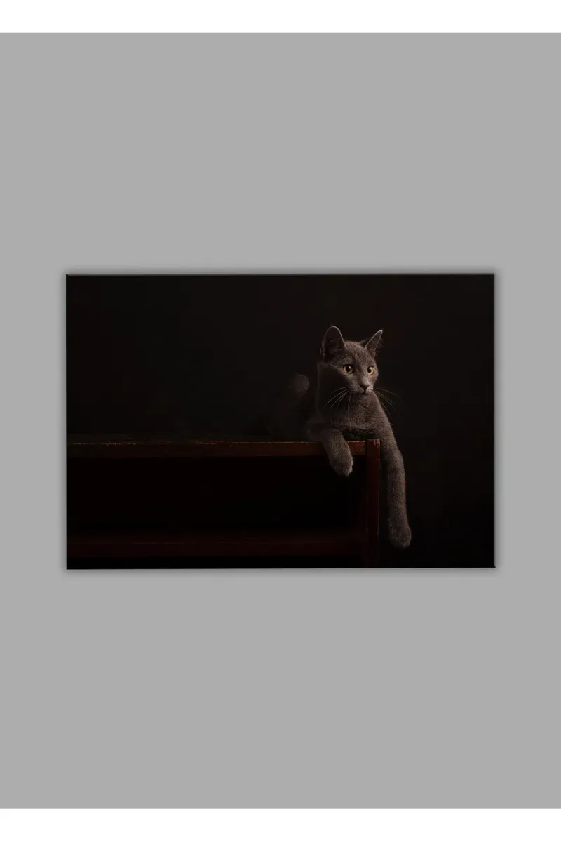 BALERA Kedi 02 Cam Tablo görsel 2
