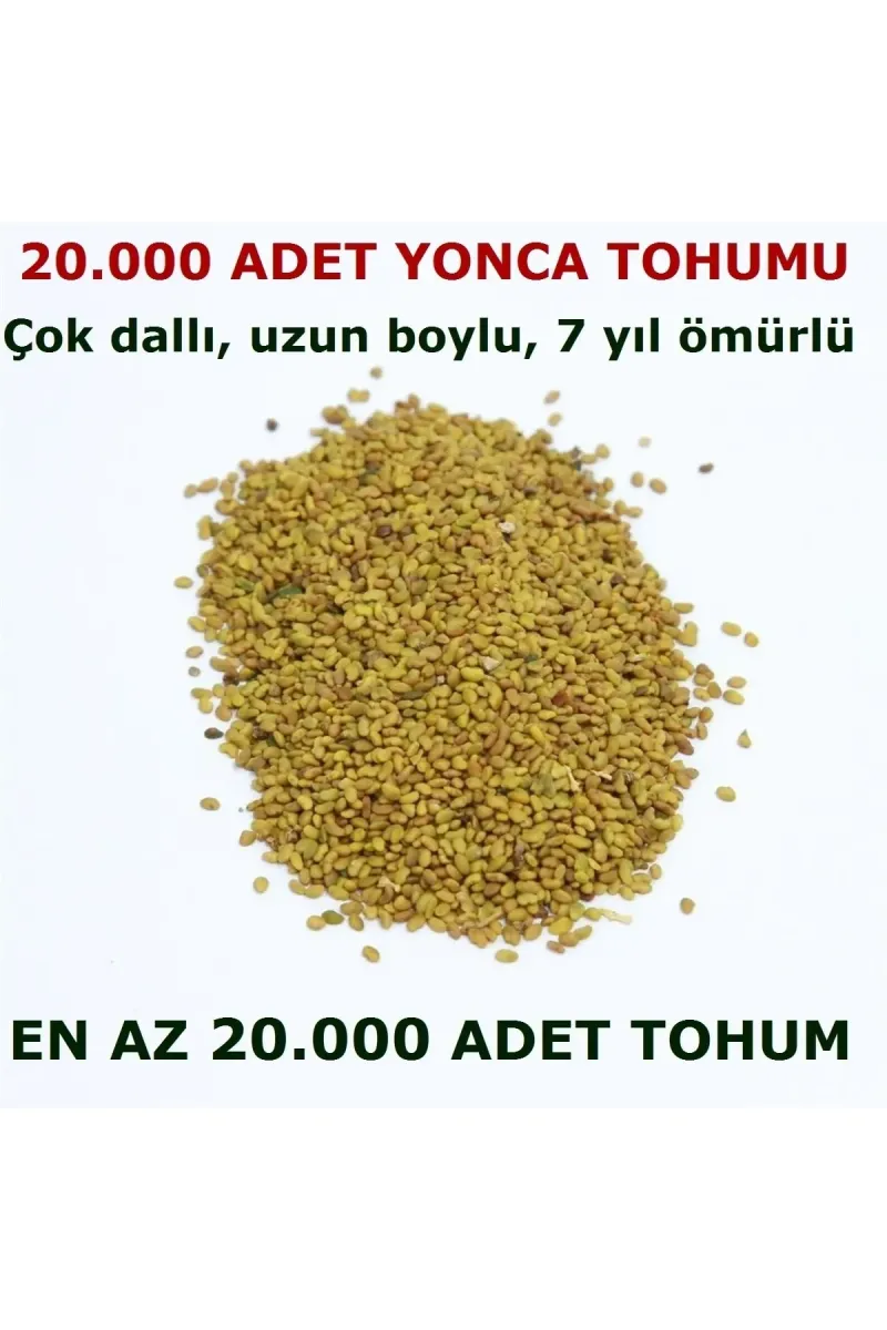 Tarımsal ve Hayvansal Ürünler Yonca Tohumu 20.000 Adet