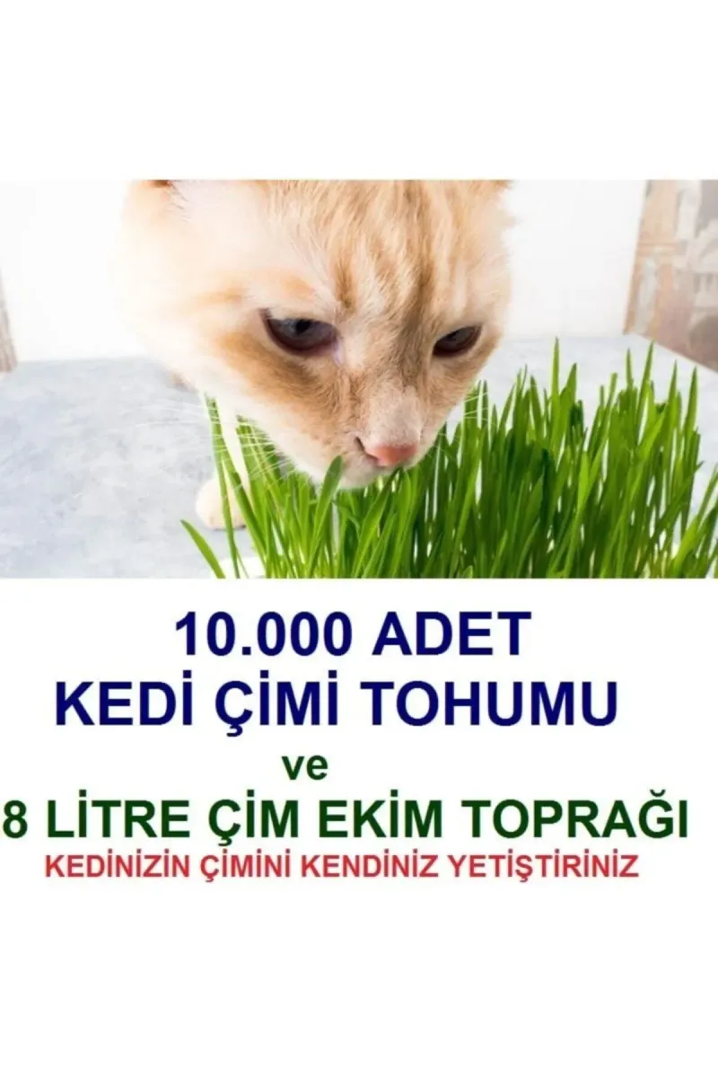 Tarımsal ve Hayvansal Ürünler	10.000 Adet Kedi Çimi Tohumu Ve 8 Litre Kedi Çimi Ekim Torfu görsel 1