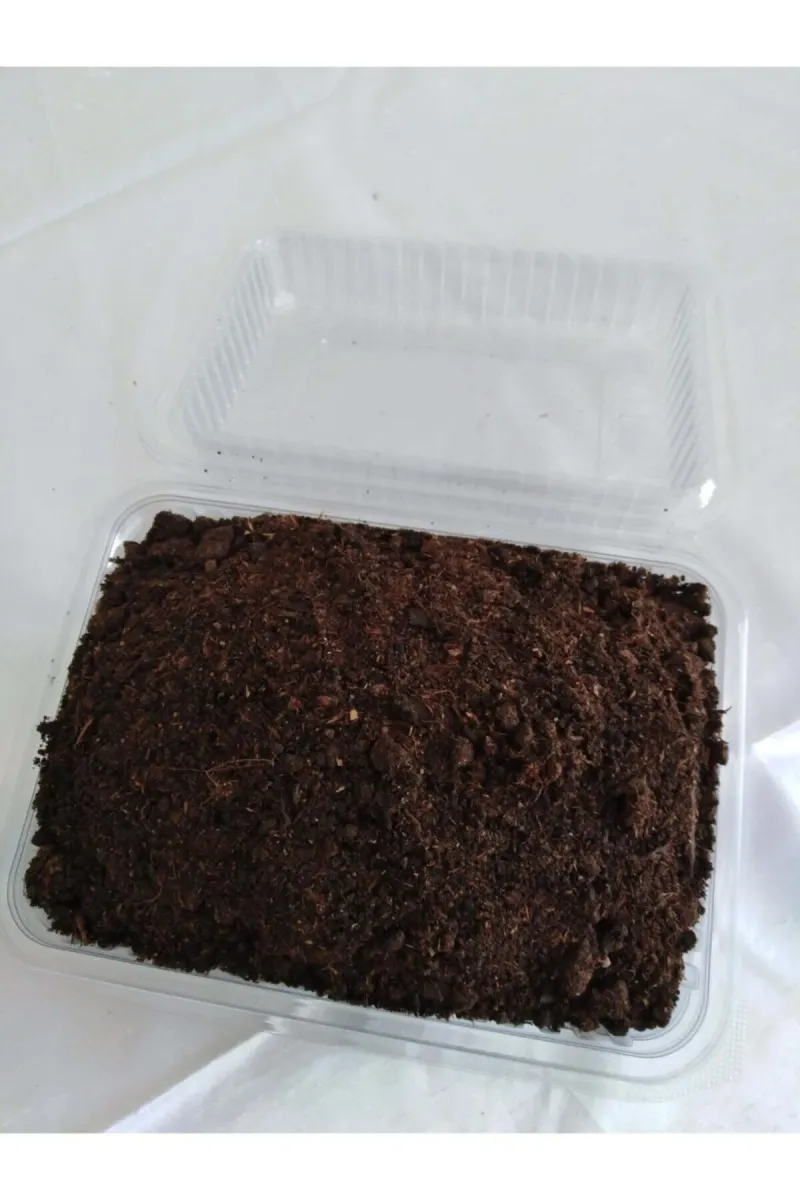 Tarımsal ve Hayvansal Ürünler	2 Adet Kültür Mantarı Tohumu Ekili Kutu Ve Eğitim Yönergesi görsel 3