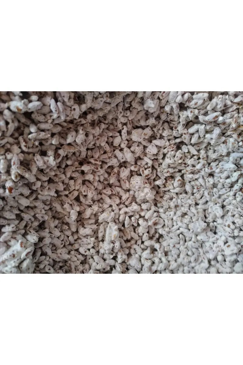 Tarımsal ve Hayvansal Ürünler 51 Kg Beyaz Şapkalı Kültür Mantarı Tohumu görsel 3