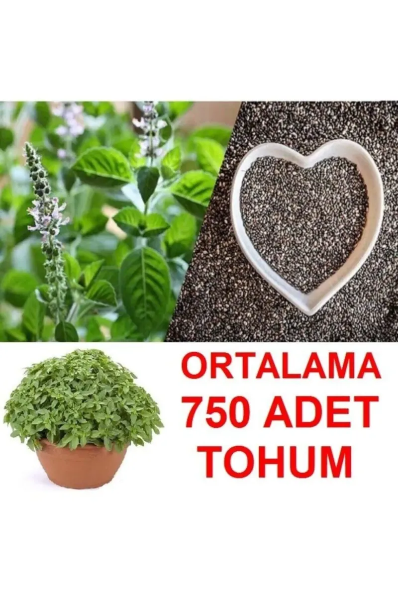 Tarımsal ve Hayvansal Ürünler	Ortalama 750 Adet Yeşil Top Fesleğen Tohumu görsel 1