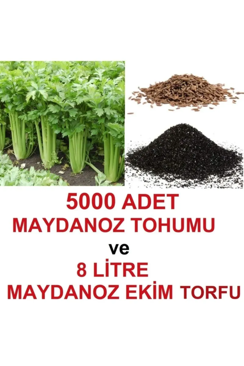 Tarımsal ve Hayvansal Ürünler 5000 Adet Geniş Yapraklı Köylü Maydanoz Tohumu Ve 8 Litre Maydanoz Ekim Torfu görsel 1