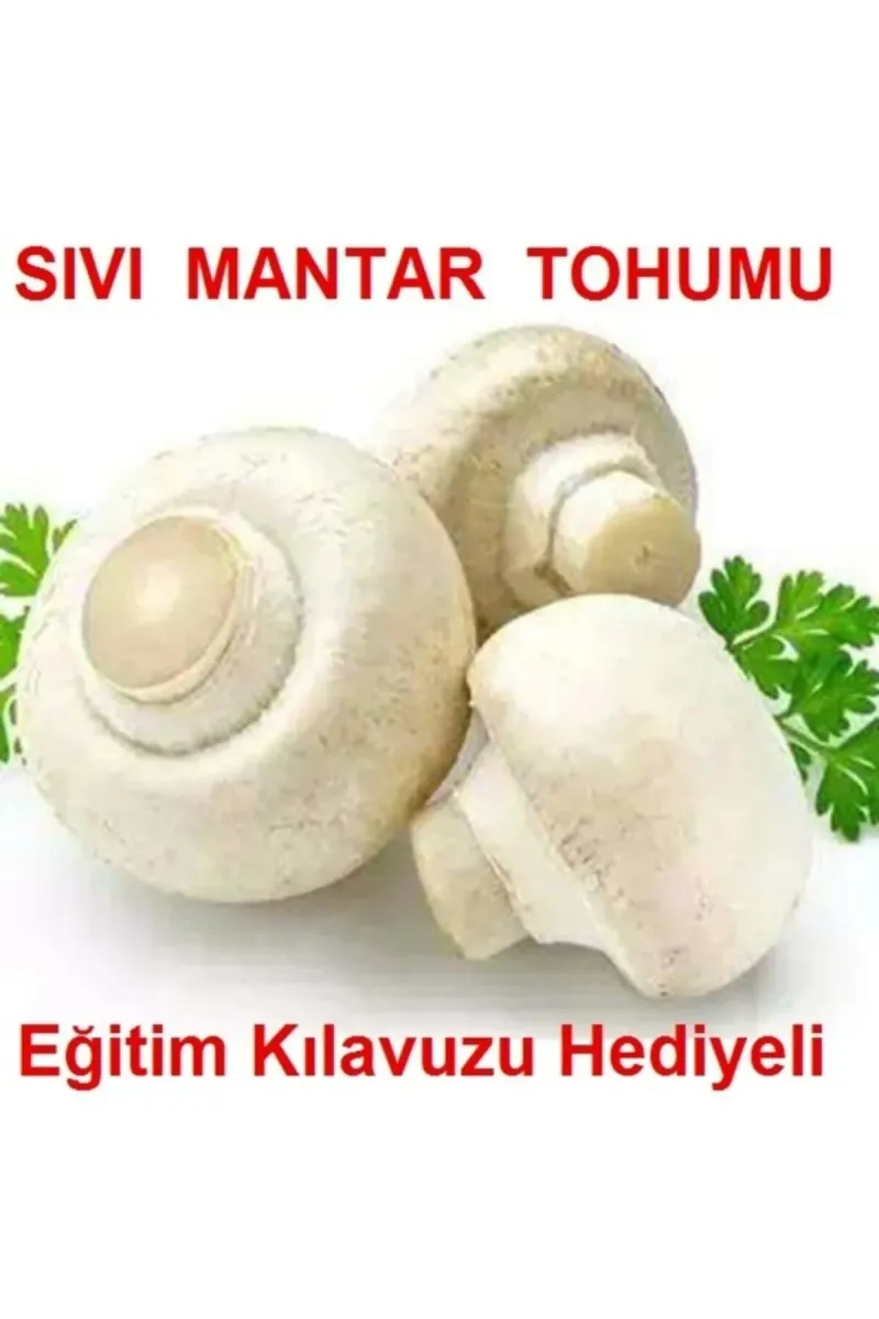 Tarımsal ve Hayvansal Ürünler 100 Ml Beyaz Şapkalı Kültür Mantarı Miseli (mantar Tohumu) görsel 1