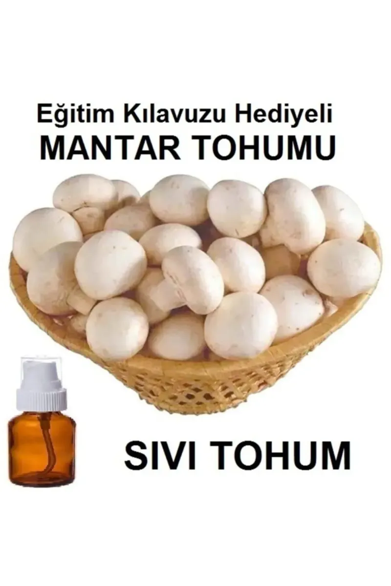 Tarımsal ve Hayvansal Ürünler 100 ml Kültür Mantarı Tohumu görsel 1