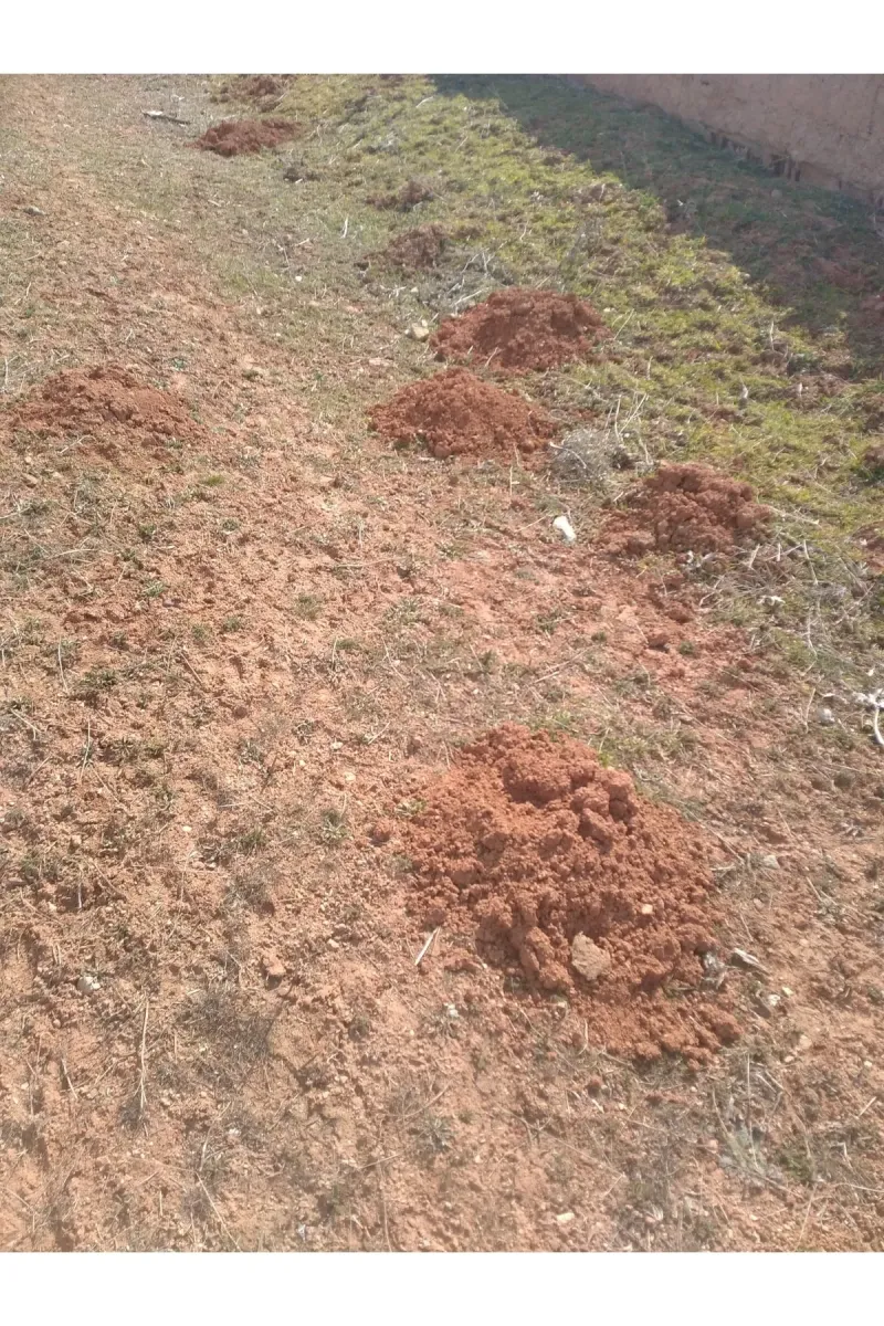 Tarımsal ve Hayvansal Ürünler Kösnü Köstepek Ocağı Toprağı 1 Kg görsel 2