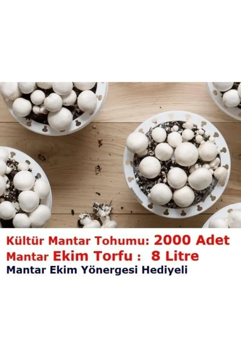Tarımsal ve Hayvansal Ürünler	2000 Adet Beyaz Şapkalı Kültür Mantarı Tohumu + 12 Litre Mantar Ekim Torfu Ve Mantar Ekim Yönergesi görsel 1