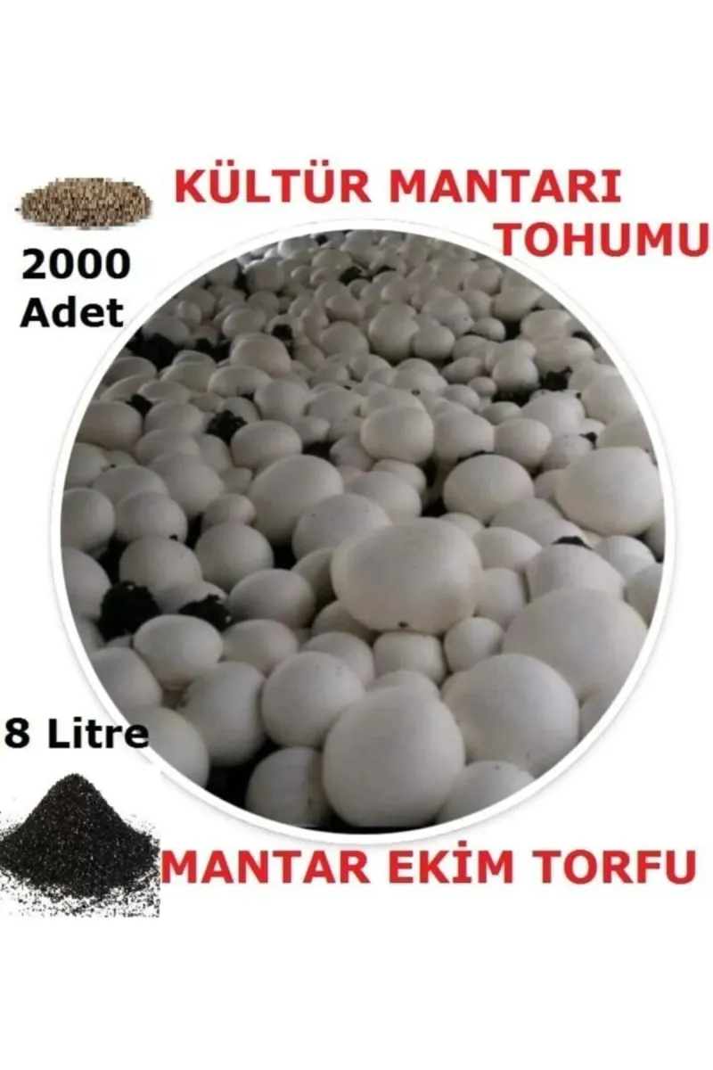 Tarımsal ve Hayvansal Ürünler	2000 Adet Beyaz Şapkalı Kültür Mantarı Tohumu + 12 Litre Mantar Ekim Torfu Ve Mantar Ekim Yönergesi görsel 2