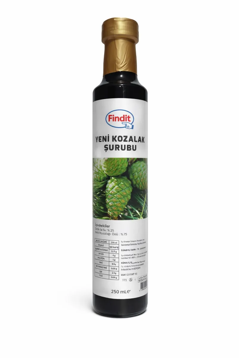 Yeni Kozalak Şurubu - Doğal Bitkisel Destek 250 ml görsel 1