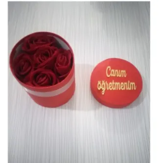 MY-NİL CANIM ÖĞRETMENİM kutuda 5 li gül yapay görsel 1