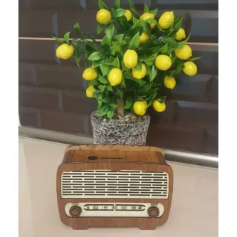 MYK HEDİYE VE SANAT ATÖLYESİ Ahşap Dekoratif Radyo Kumbara