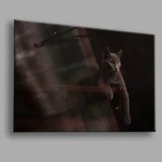 BALERA Kedi 02 Cam Tablo görsel 1