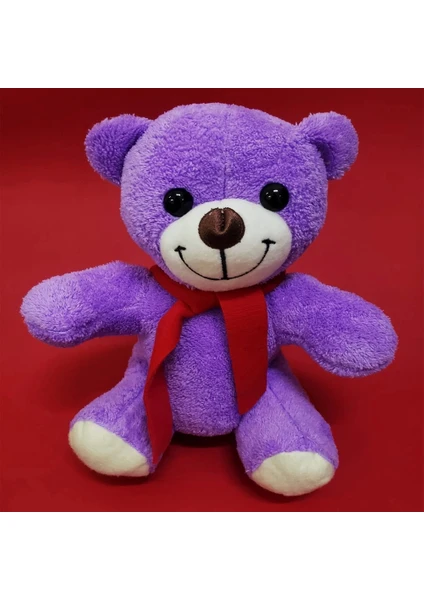 Exporanto Öğretmenler Günü Hediyesi Peluş Ayıcık görsel 4