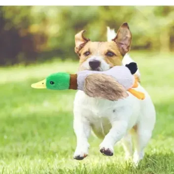 Exporanto Sesli Ördek Şekilli Peluş Köpek Oyuncağı