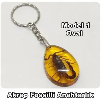 Tesbih Sakarya Akrep Fosilli - Toz Kehribar Anahtarlık -  1 Model