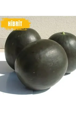Tarımsal ve Hayvansal Ürünler 600 Adet Hibrit Karpuz Tohumu