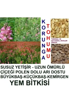 Tarımsal ve Hayvansal Ürünler 20.000 Adet Büyükbaş Hayvan Yemi Korunga Tohumu
