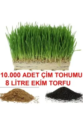 Tarımsal ve Hayvansal Ürünler	10.000 Adet Çim Tohumu Ve De 8 Litre Çim Ekim Torfu Toprak