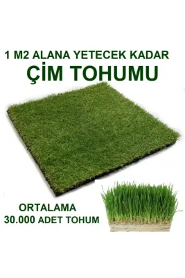 Tarımsal ve Hayvansal Ürünler	Kedi Çimi Tohumu 1 M2 ( Ortalama 10.000 Adet )