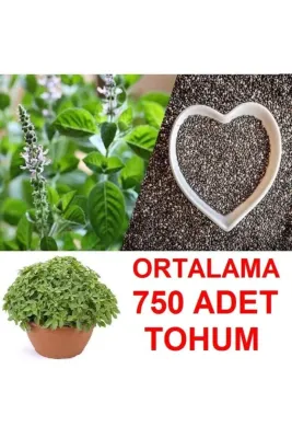 Tarımsal ve Hayvansal Ürünler	Ortalama 750 Adet Yeşil Top Fesleğen Tohumu