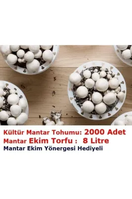 Tarımsal ve Hayvansal Ürünler	2000 Adet Beyaz Şapkalı Kültür Mantarı Tohumu + 12 Litre Mantar Ekim Torfu Ve Mantar Ekim Yönergesi