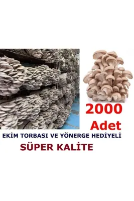 Tarımsal ve Hayvansal Ürünler	2000 Adet Istiridye Kavak Kayın Mantarı Tohumu
