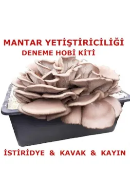Tarımsal ve Hayvansal Ürünler Tubitak Proje Seti Mantar Yetiştiriciliği