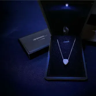 ZEY GÜMÜŞ Kalp Halo & Zirkon Taşlı Tektaş Kolye