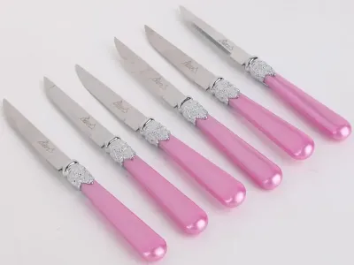 DMSHOME Biev Sedefli Pembe Melamin&çelik 6 lı tatlı Bıçağı