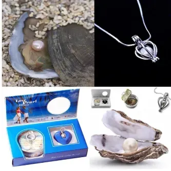 MYK HEDİYE VE SANAT ATÖLYESİ Özel Hediye istiridye içinde gerçek inci kolye