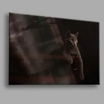 BALERA Kedi 02 Cam Tablo